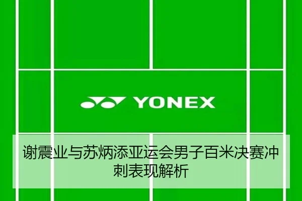 谢震业与苏炳添亚运会男子百米决赛冲刺表现解析